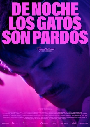 De noche los gatos son pardos (2022) Subt Español