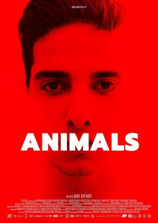 Animals (2021) Subt. Esp - Peliculas Gay