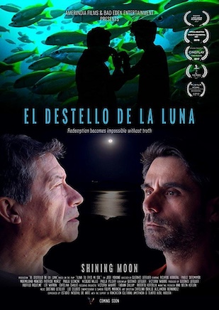 El destello de la luna (2016) Audio Latino - CIne LGBT
