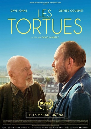 Les tortues (2023) Subt. Español - Peliculas LGBG
